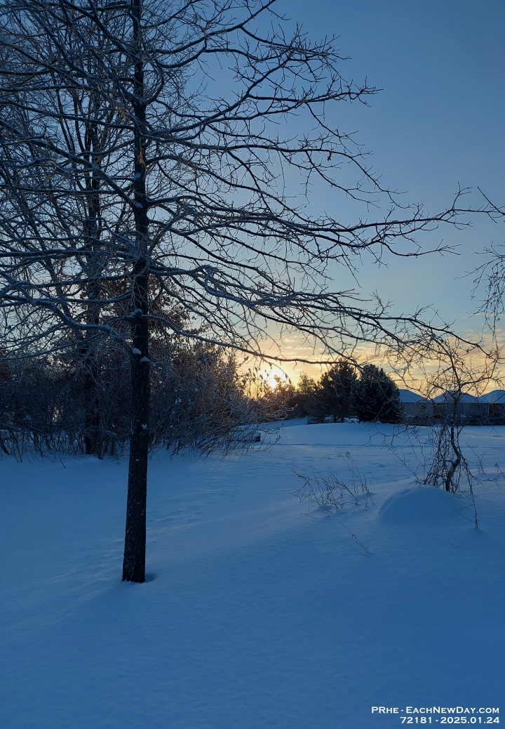 72181CrLeRe - Cold morning walk with Chester in Clayt French Park